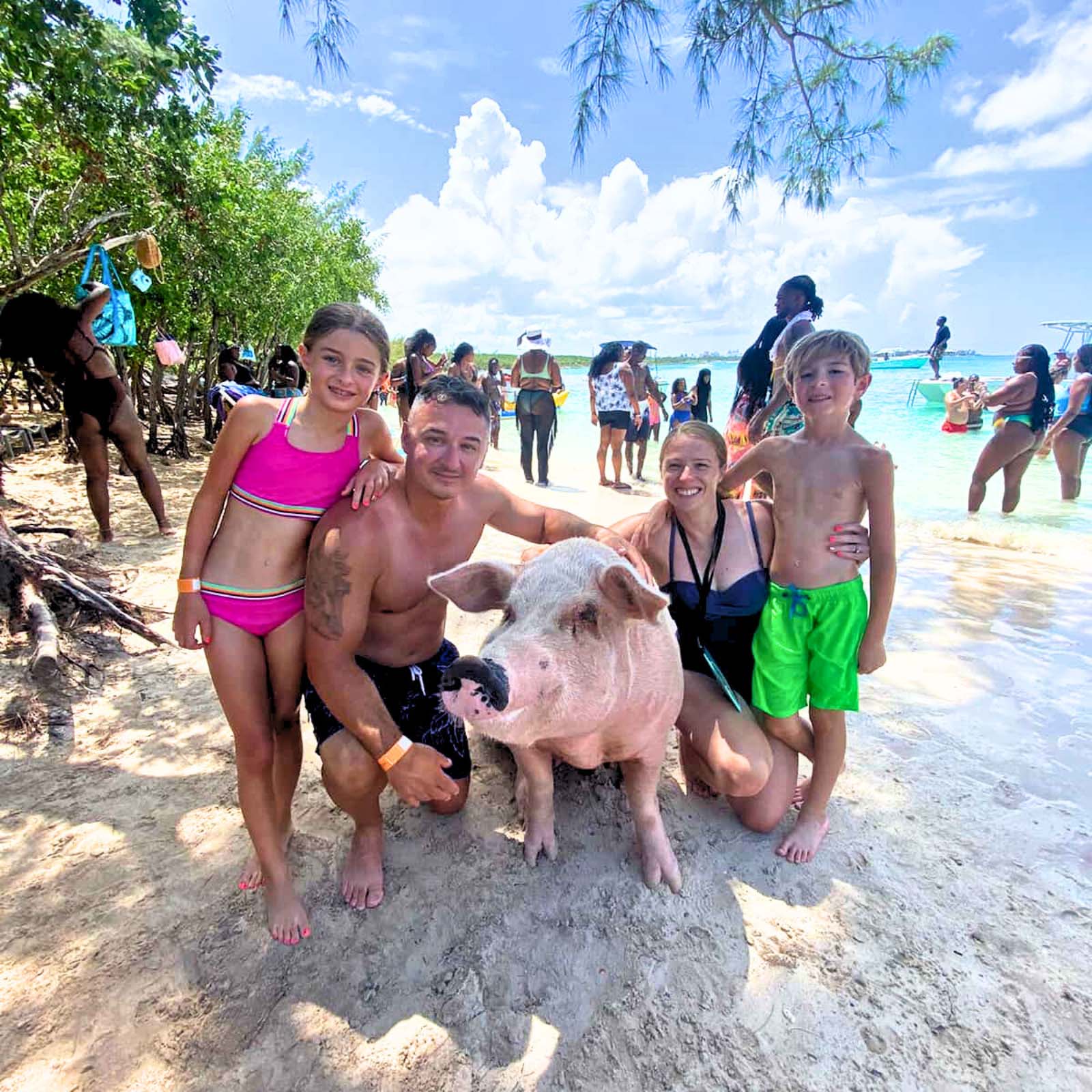 Private Swimming Pigs Tour Nassau Bahamas Cruise Excursion