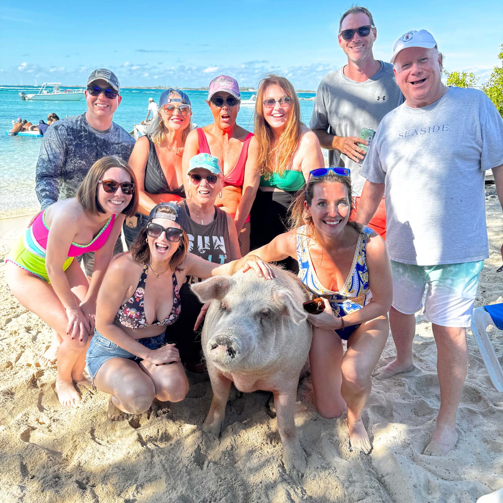 Experience the Bahamas Swimming Pigs & Snorkeling Tour - Group Adventure